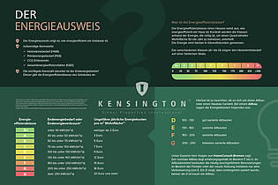 Der Energieausweis